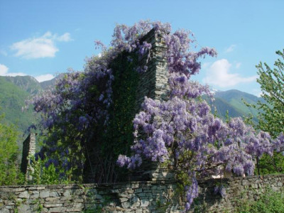 K640_DSC01559.JPG