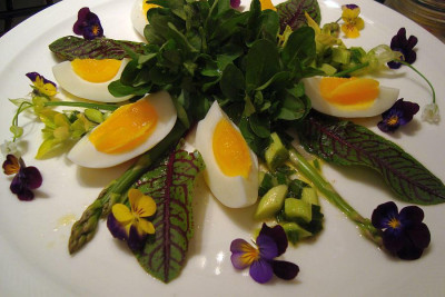 salat_20110417_zg.jpg