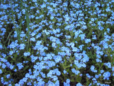 PICT5639.JPG