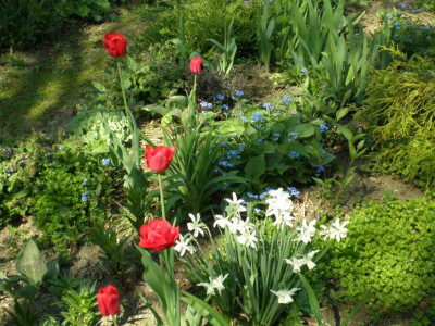 Fruehling_2011ea.jpg