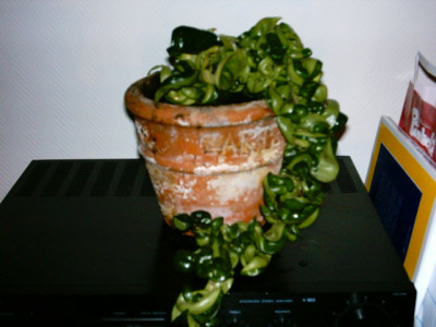Bild_13045.jpg