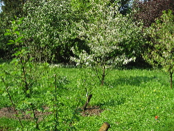 IMG_07351.JPG