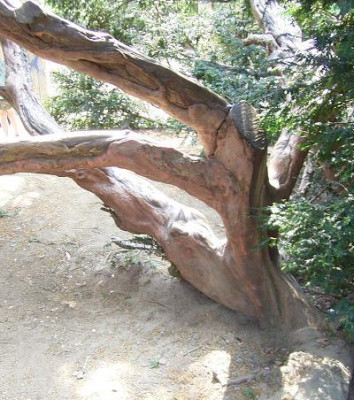 RIMG0007.JPG