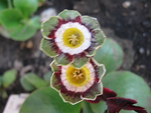 GARTEN_160.jpg