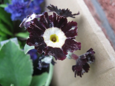 GARTEN_135.jpg