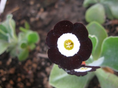 GARTEN_148.jpg