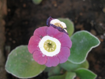 GARTEN_182.jpg