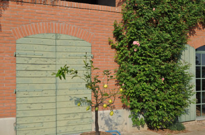 Hauswand_0011__1875.jpg