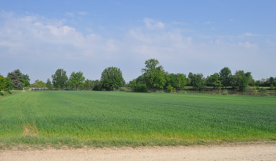 Im_Gruenen_0011__1897.jpg