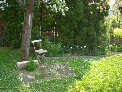 IMGP9772.jpg