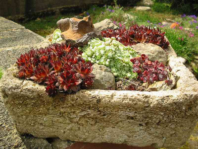 Hypertufa_Schale.jpg