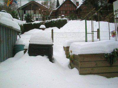 Spinat_im_Schnee.jpg