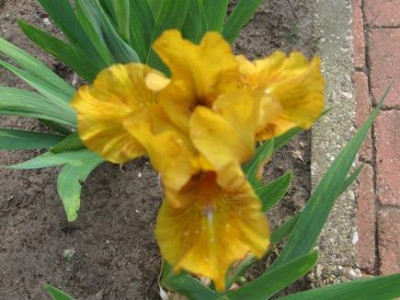 GARTEN_208.jpg
