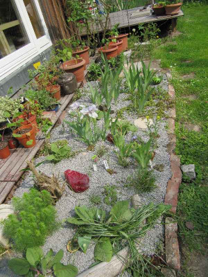 Frisch_gesplittet_2_110428.jpg