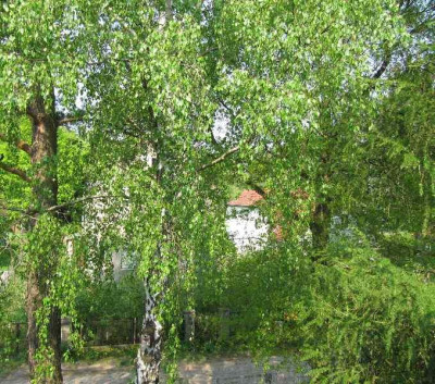 Ausblick_110428.jpg
