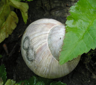 nummer8_p4300854.jpg