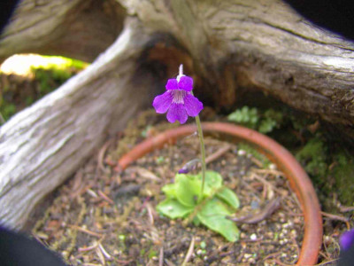 01.05.11-kl.jpg