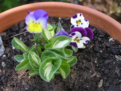 110422_25a.jpg