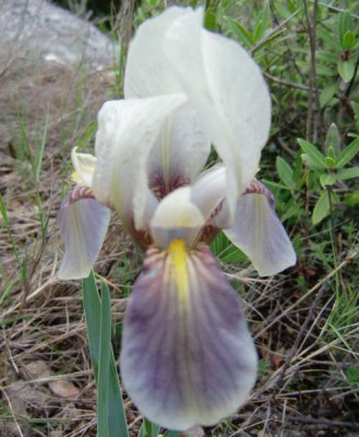 O07.JPG