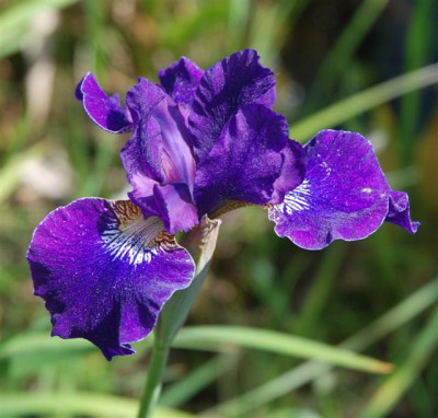 B5809a_Small.jpg
