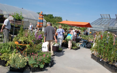 Impr_5_0011__3738.jpg