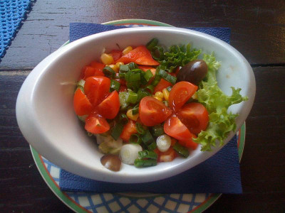 salat_20110509_zg.jpg