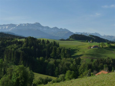 2011.10.mai.JPG