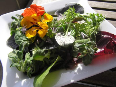1essen090511.jpg