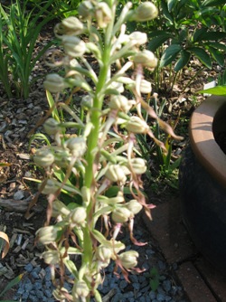 GARTEN_226.jpg