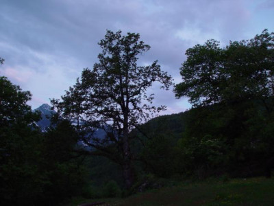 K640_DSC01746.JPG