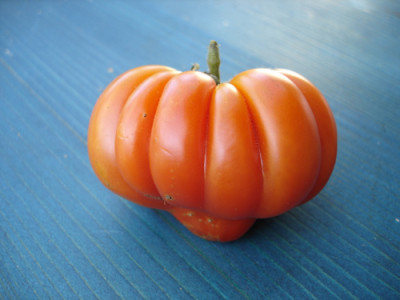 ger.tomate.jpg