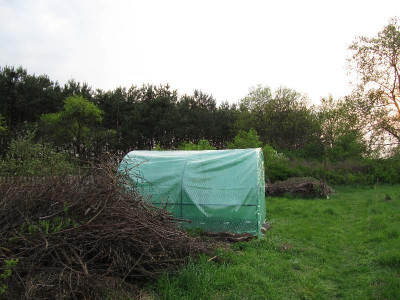 Tomatenhaus_110428.jpg