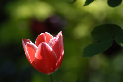 maifarben_11405s.jpg