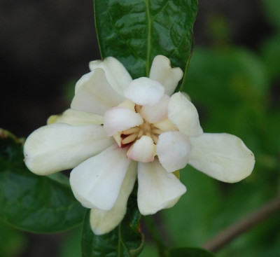 B6062a_Large.jpg