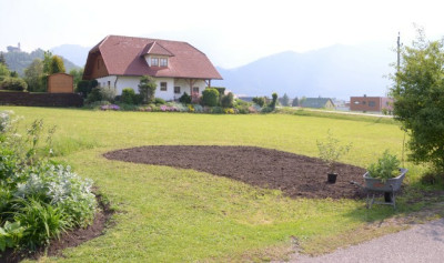 beet_neuganz.jpg