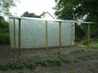 tomatendachneu.jpg