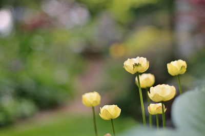 Alabaster-Mai2011.jpg