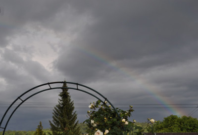 Regenbogen_0011__3893.jpg