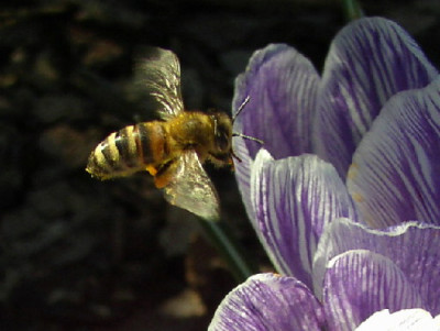Anflug.jpg