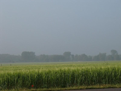 Morgen_nach_dem_Regen.jpg