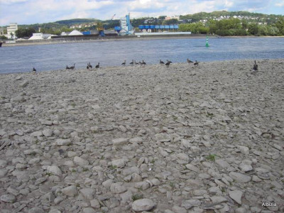 PICT5884.JPG