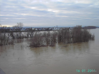 PICT5366-1.JPG