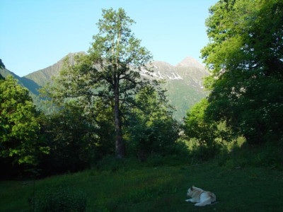 K640_DSC02081.JPG