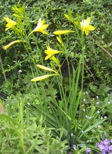 IMG_3453_14_2.jpg