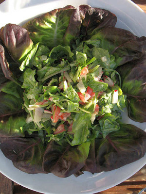 IMG_1866_Glockenblumensalat2.jpg