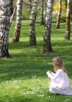 100_9071.JPG