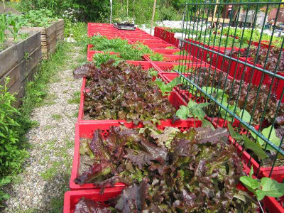 Prinzessinnengarten_110526_2.jpg