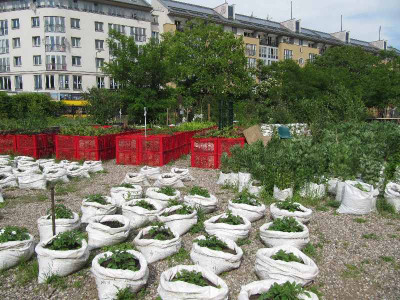 Prinzessinnengarten_110526_3.jpg