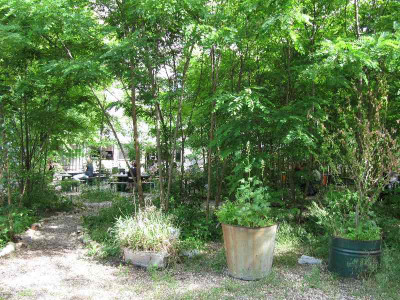 Prinzessinnengarten_110526_6.jpg