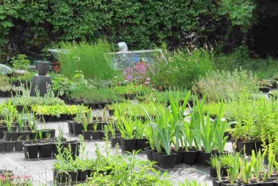 Prinzessinnengarten_110526_10.jpg